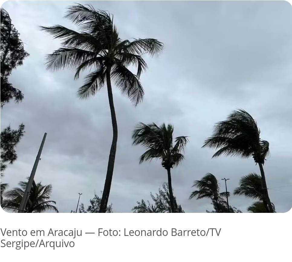 Crônica do Professor Antonio Glauber sobre as notícias do dia 11 de setembro de 2024