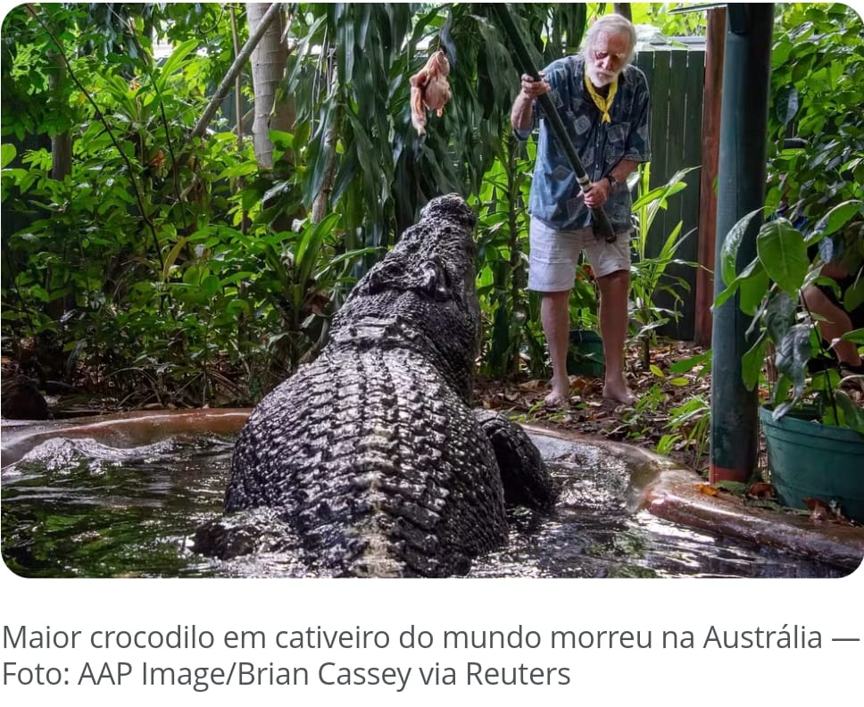 Crônica do Professor Antonio Glauber sobre as notícias do dia 1º de novembro de 2024, Dia de Todos os Santos