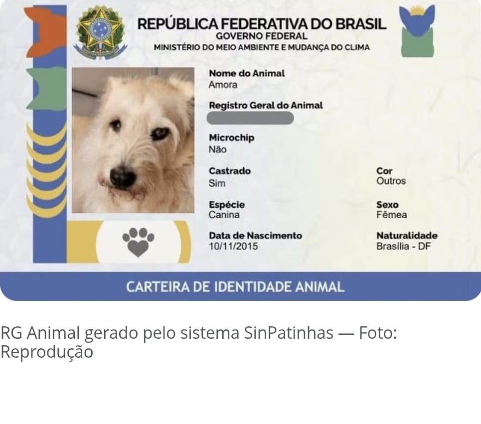 Crônica do Professor Antonio Glauber sobre as notícias do dia 17 de abril de 2025